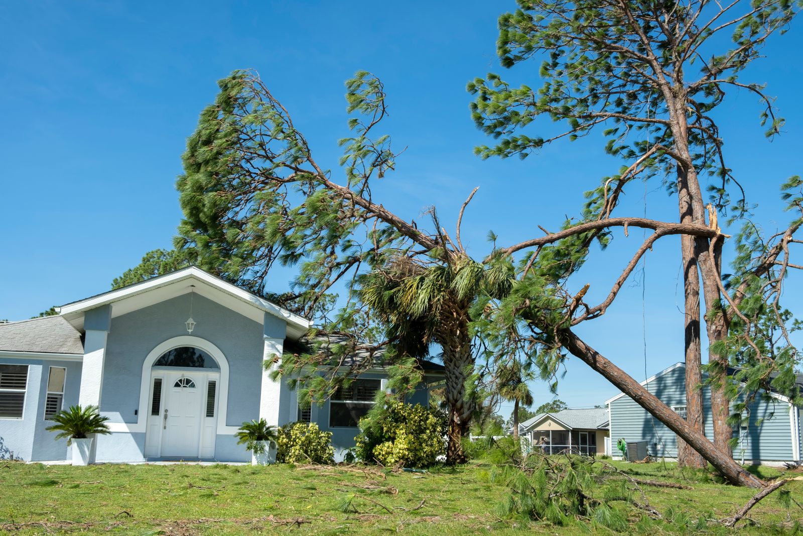 How Much Does Tree Removal Cost? Don’t Overlook Roof Repair After Tree Damage Image